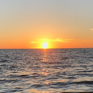 Meet your Posher, Delayna